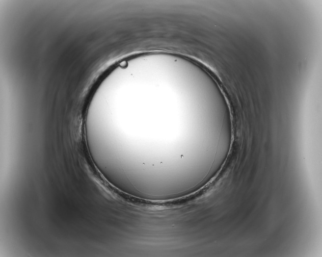 X0000086001507200704091028