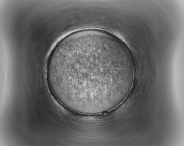 X0000086001508200704091028