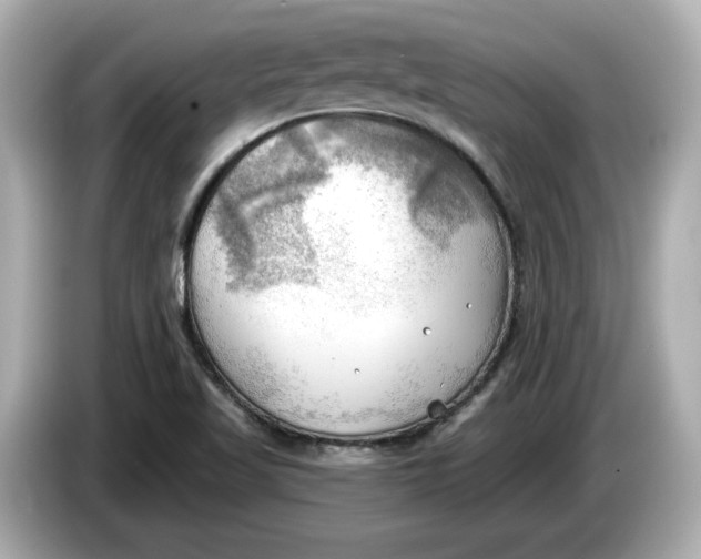 X0000086001509200704091028