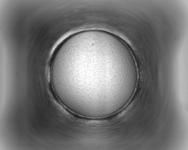 X0000086001510200704091028