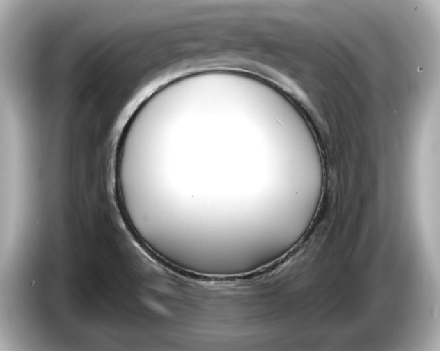 X0000086001512200704091028