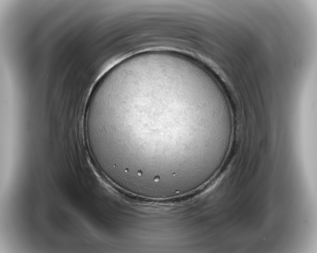 X0000086001513200704091028