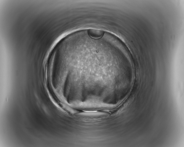 X0000086001515200704091028