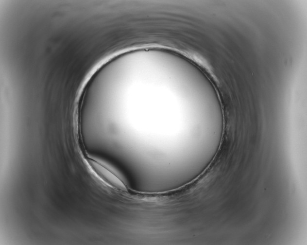 X0000086001516200704091028