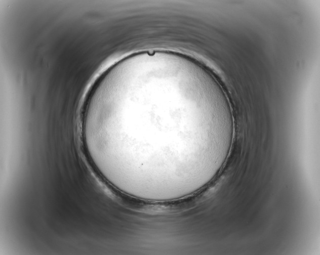 X0000086001517200704091028