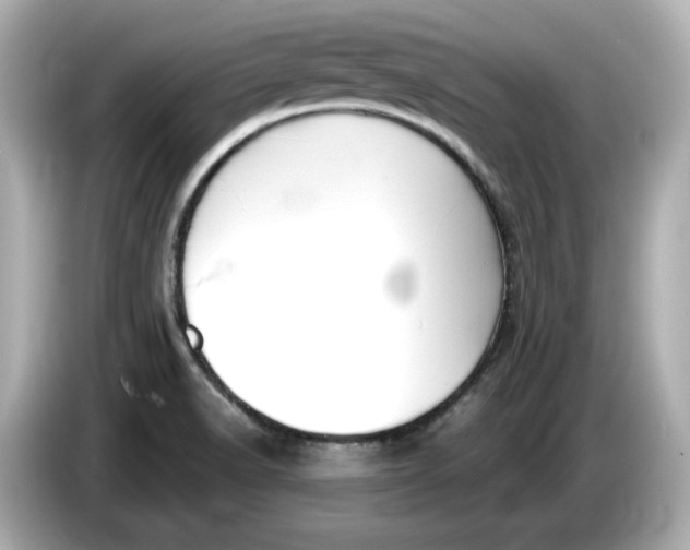 X0000086001518200704091028