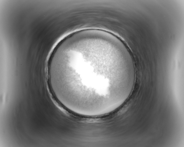 X0000086001519200704091028