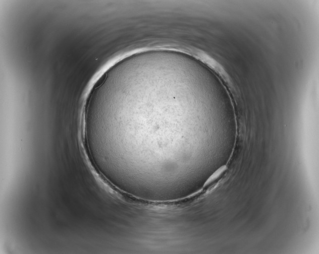 X0000086001520200704091028