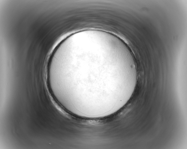 X0000086001523200704091028