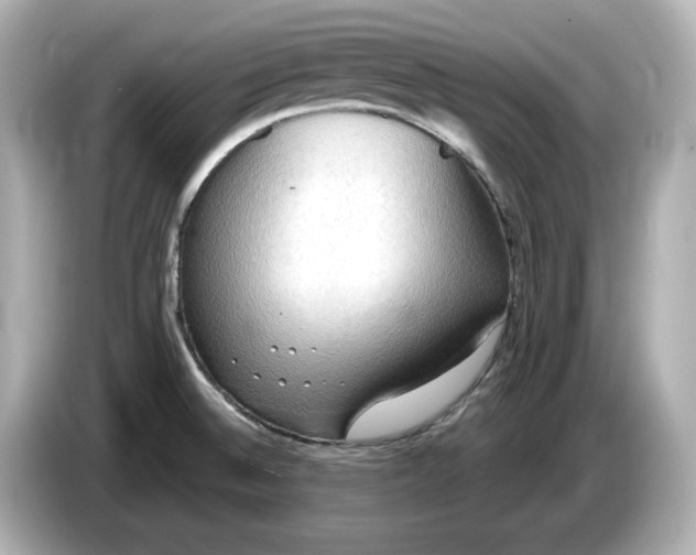 X0000086001524200704091028