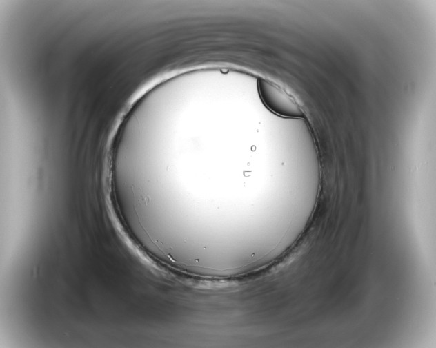 X0000086001526200704091028