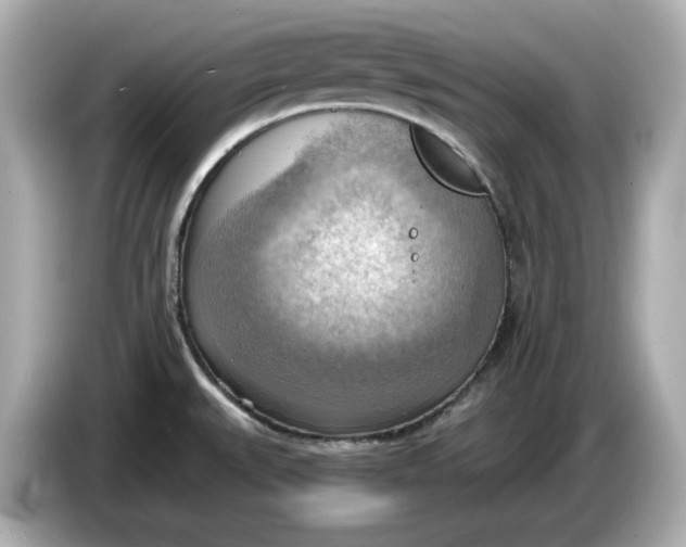 X0000086001527200704091028