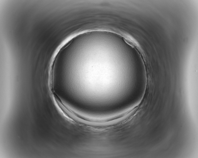 X0000086001528200704091028