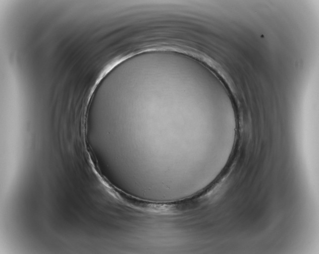 X0000086001529200704091028