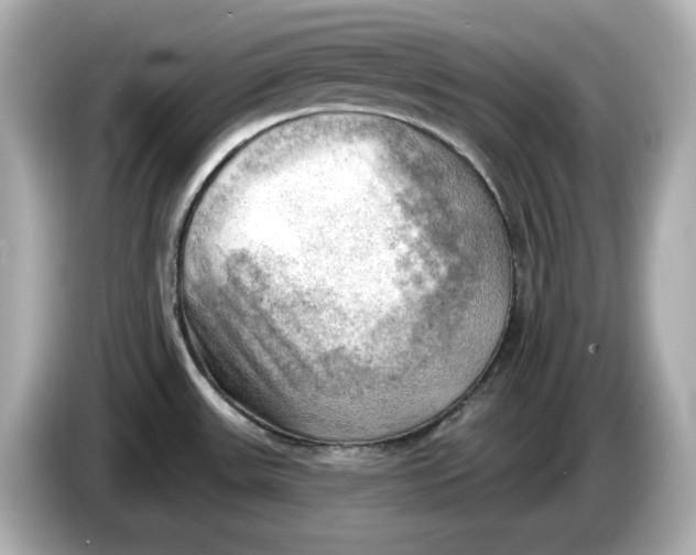 X0000086001531200704091028