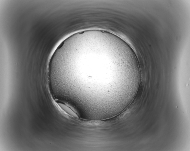 X0000086001532200704091028