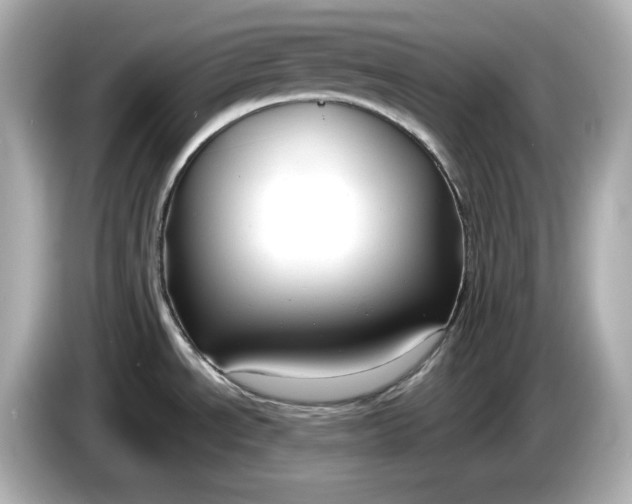 X0000086001534200704091028