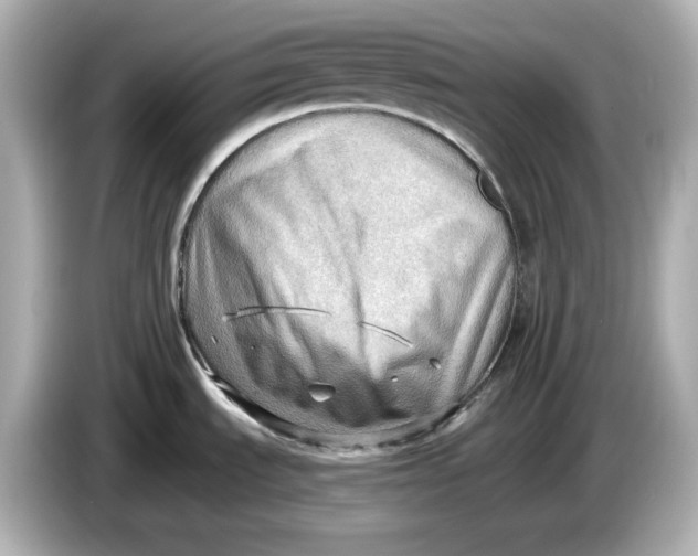 X0000086001535200704091028