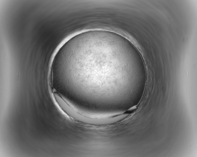 X0000086001536200704091028