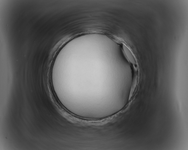 X0000086000001200704131815