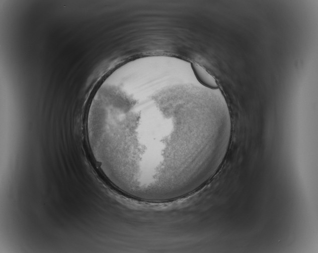 X0000086000002200704131815