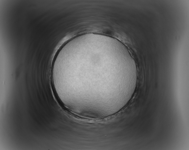 X0000086000003200704131815