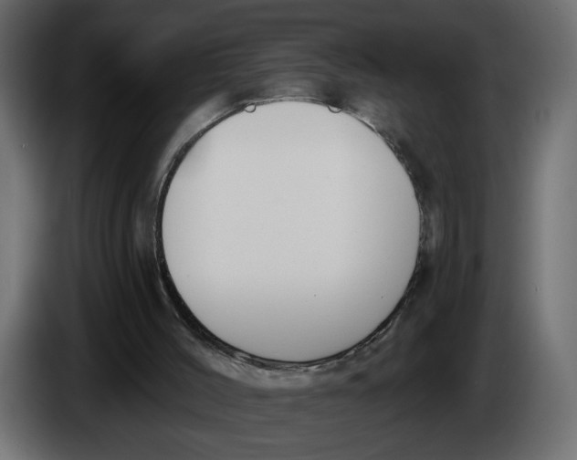 X0000086000004200704131815