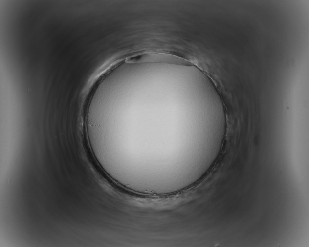 X0000086000005200704131815