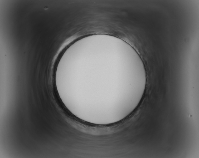 X0000086000008200704131815