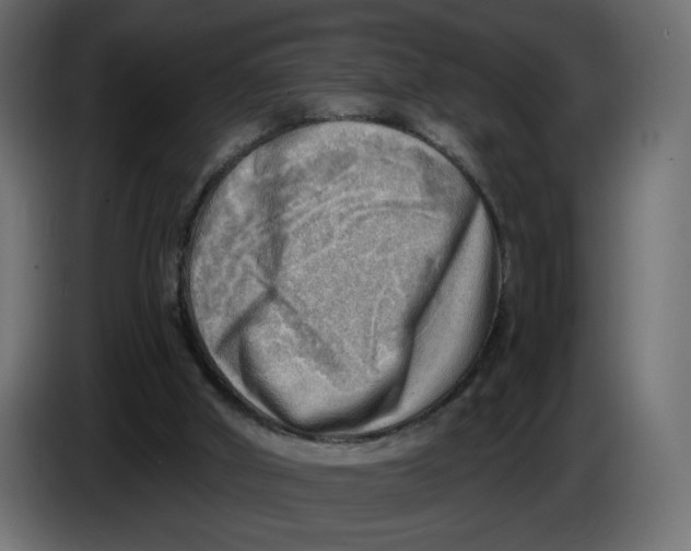 X0000086000010200704131815