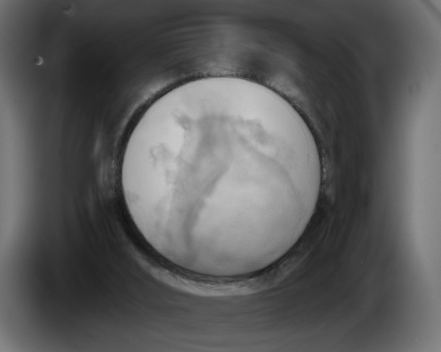 X0000086000012200704131815