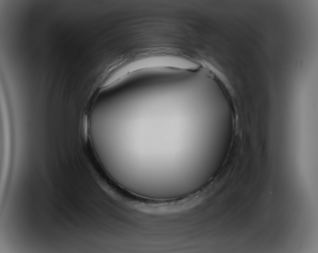 X0000086000013200704131815