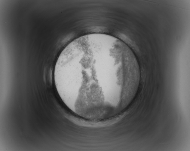 X0000086000014200704131815