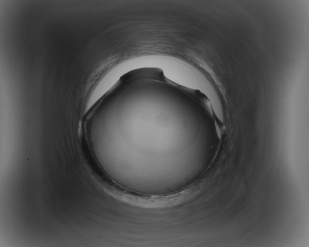 X0000086000019200704131815