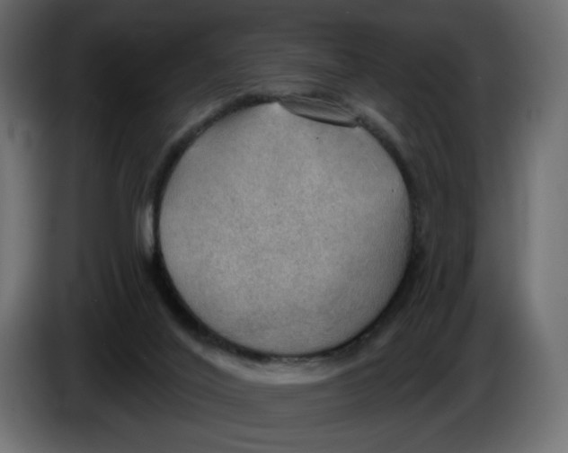 X0000086000020200704131815