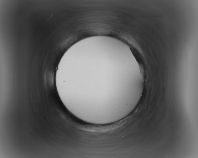 X0000086000021200704131815