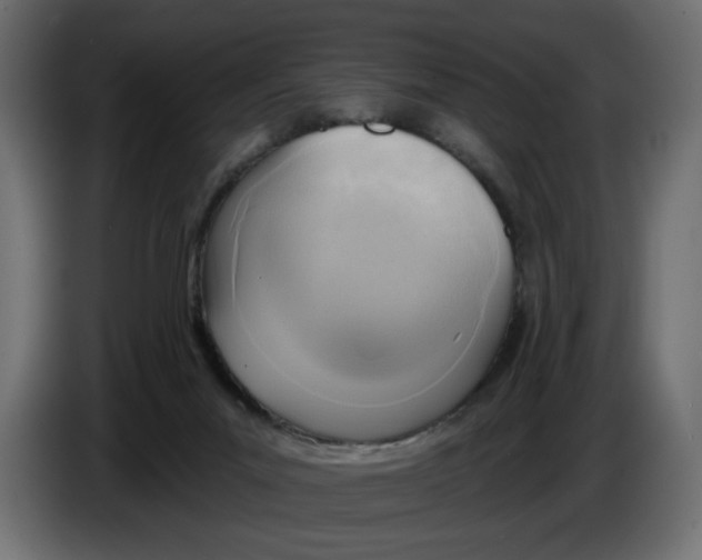 X0000086000023200704131815