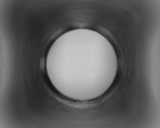 X0000086000024200704131815