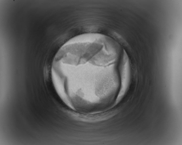 X0000086000026200704131815