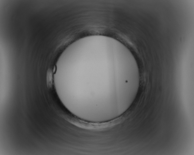 X0000086000027200704131815