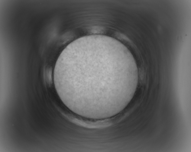 X0000086000028200704131815