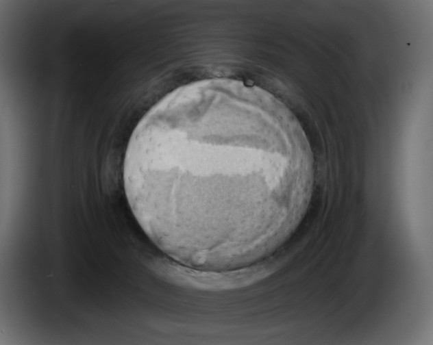 X0000086000030200704131815