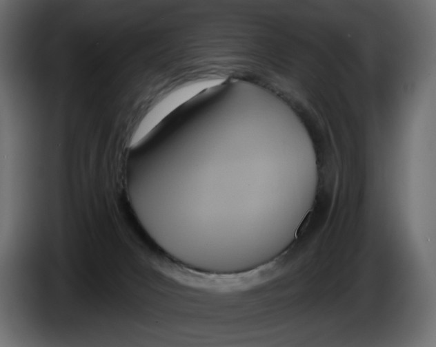 X0000086000031200704131815