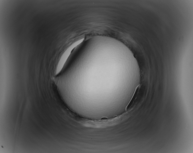 X0000086000033200704131815