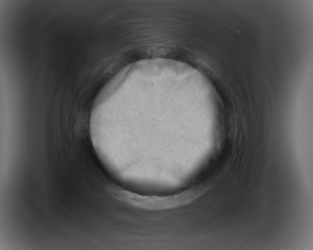 X0000086000034200704131815