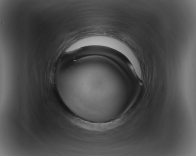 X0000086000035200704131815