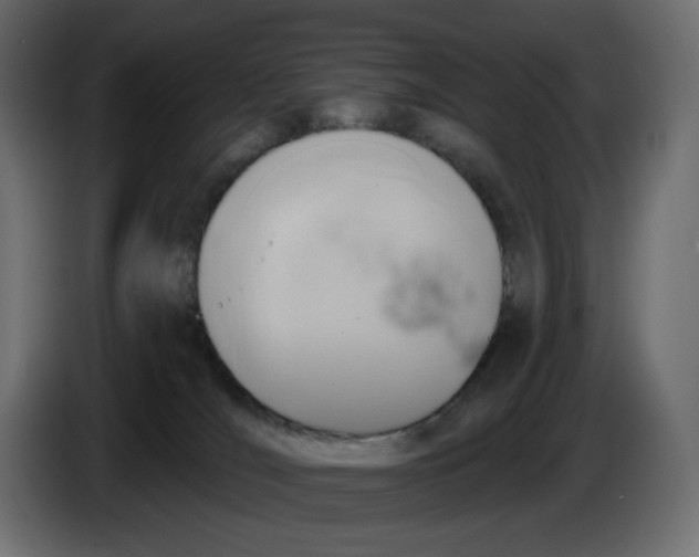 X0000086000036200704131815