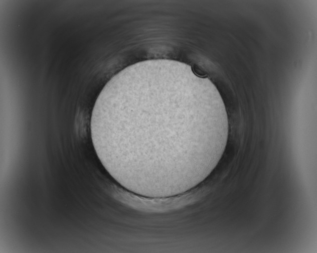 X0000086000038200704131815