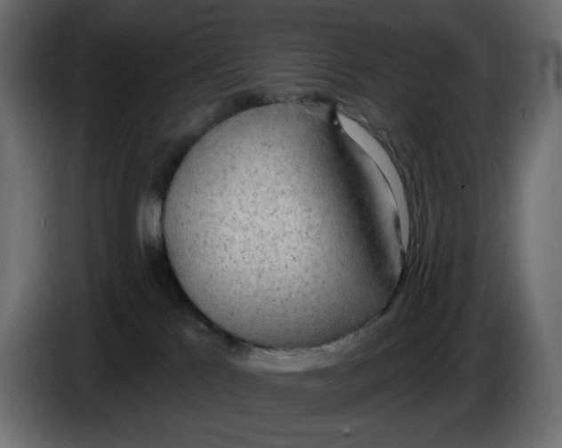 X0000086000041200704131815