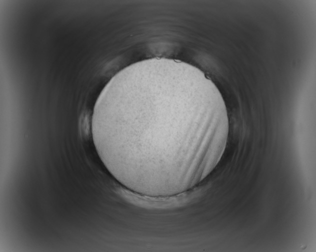 X0000086000042200704131815